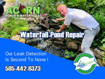 Pond And Waterfall Repair Services Rochester -Western New York - Acorn Ponds & Waterfalls