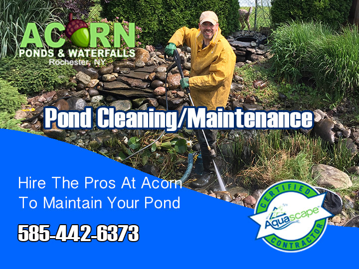 Pond-Water Feature Cleaning-Maintenance Contractors Rochester-Western NY