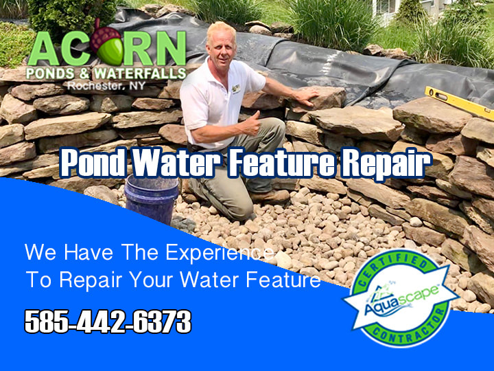 Pond-Water Feature Repair Services Rochester-Western NY