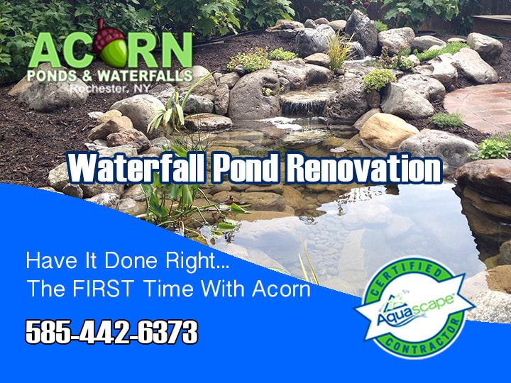 Waterfall - Pond Pumps & Liner Replacement In Rochester, Buffalo & Western (NY)